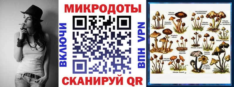 Галлюциногенные грибы GOLDEN TEACHER  Бодайбо 