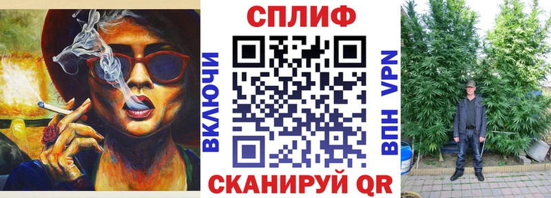 купить наркотик  Бодайбо  Каннабис White Widow 